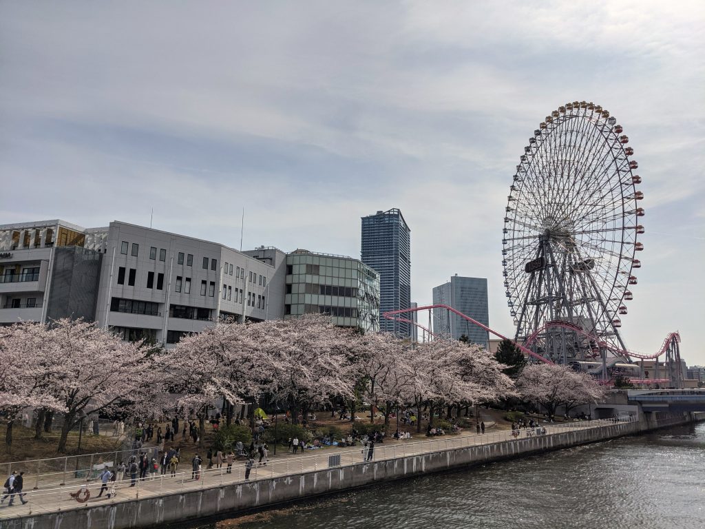 【報告】お花見ピクニック