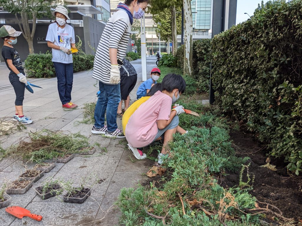 【報告】ローズマリー植え込み